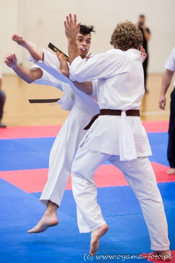 OYAMA International Karate Federation